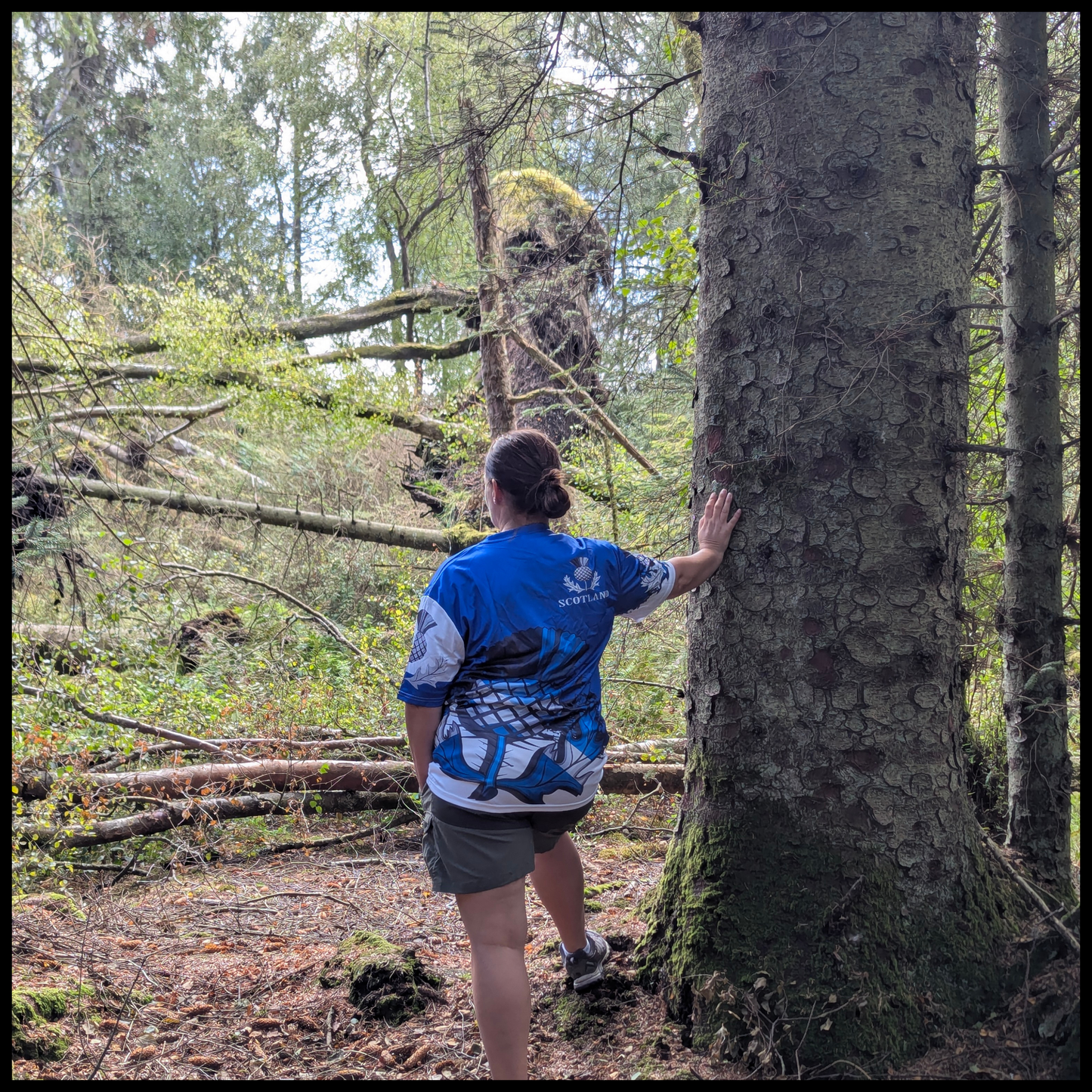 Munro Mental “The Thistle Guard” t-shirt – outdoor forest back view
